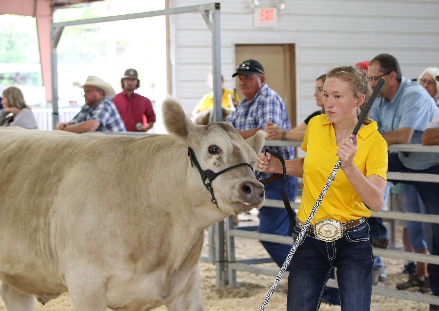 PHOTOS: Market Beef Show 2020